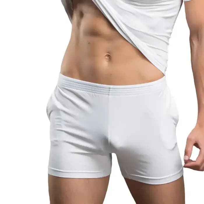 Sous-vêtements pour hommes Boxer Shorts de haute qualité caleçons