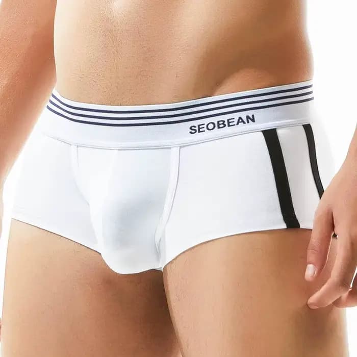 SEOBEAN marque hommes sous-vêtements boxeurs Shorts respirant coton caleçon confortable Sexy culotte Boxer pour homme
