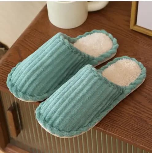 Chaussons d'hiver pour femmes avec duvet, plusieurs couleurs, 2024
