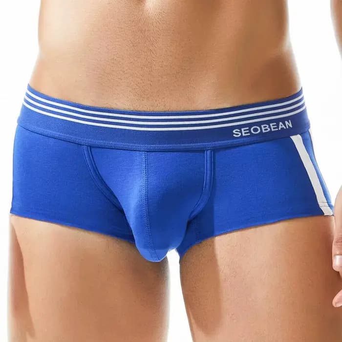 SEOBEAN marque hommes sous-vêtements boxeurs Shorts respirant coton caleçon confortable Sexy culotte Boxer pour homme