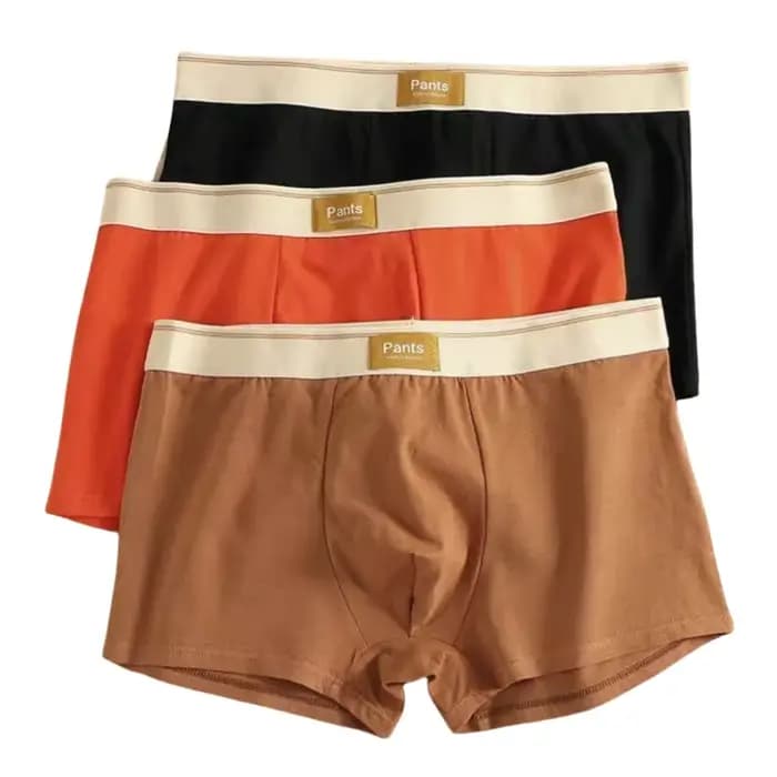 3 pièces hommes culottes coton BoxerShorts sous-vêtements pour hommes hommes boxeurs respirant U con