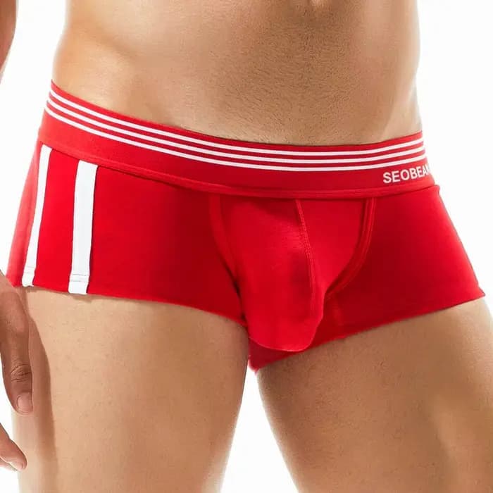 SEOBEAN marque hommes sous-vêtements boxeurs Shorts respirant coton caleçon confortable Sexy culotte Boxer pour homme