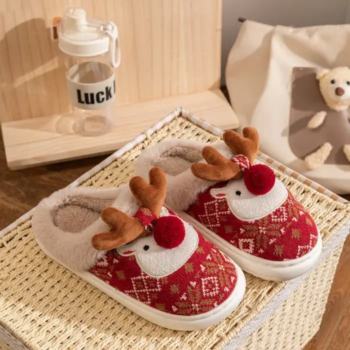 Belles pantoufles d'hiver pour femmes