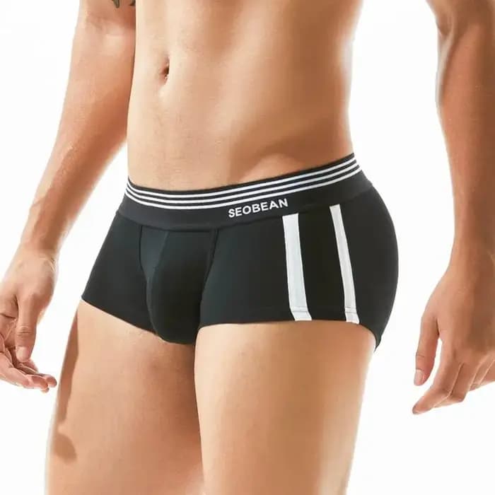 SEOBEAN marque hommes sous-vêtements boxeurs Shorts respirant coton caleçon confortable Sexy culotte Boxer pour homme