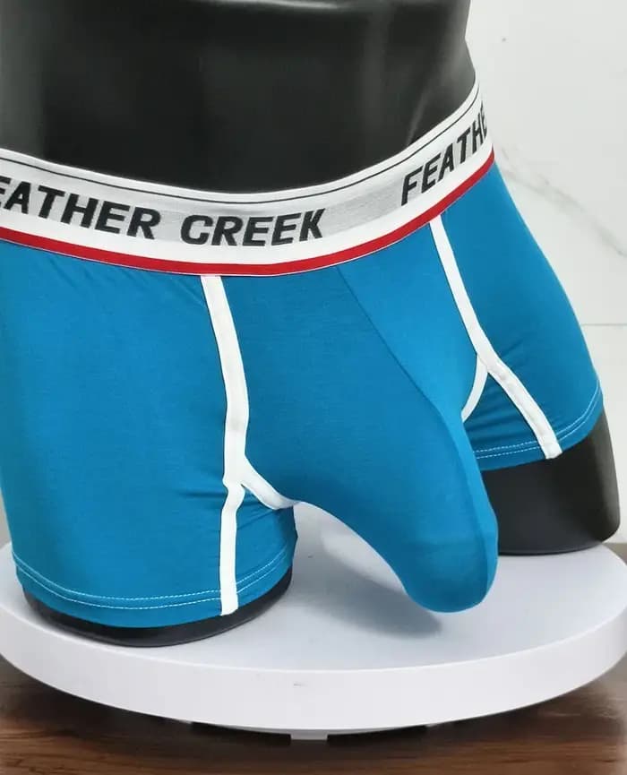 Boxer pour hommes, sous-vêtements sexy pour hommes