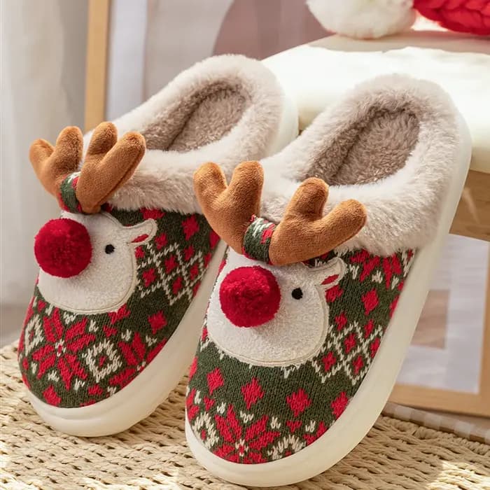 Belles pantoufles d'hiver pour femmes
