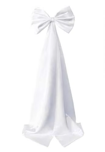 Robe de Mariage Élégante avec Grand Nministériels d pour Femme, Tenue de Taille Blanche, avec Traîne